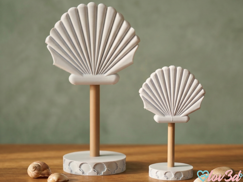 Elegant Seashell Display Stands