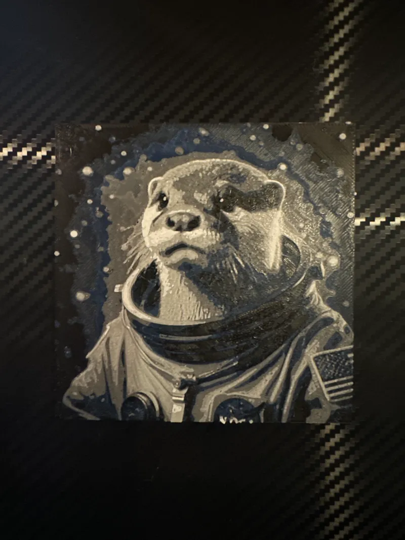 Otterspace Cadet (100x100)