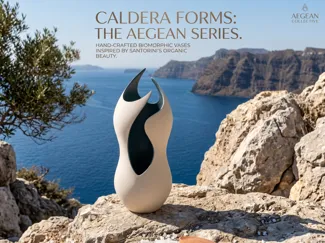 Vessel of Curves
