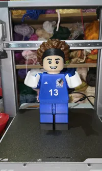 Mexique - Guillermo Ochoa