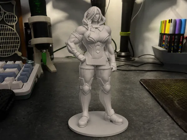 https://makerworld.bblmw.com/makerworld/model/US13e28487b59f47/design/d8b45b4cdd0f67f9.png