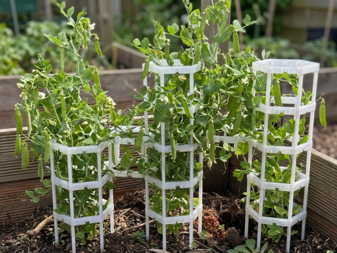 Modulares Hex-Spalier für Kletterpflanzen & Erbsen