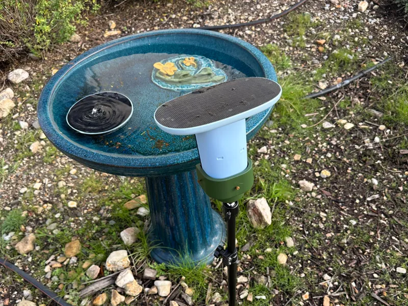 Mount for Bird Camera