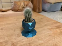 Mini pot à cactus géométrique — photo 3