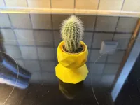 Mini pot à cactus géométrique — photo 2