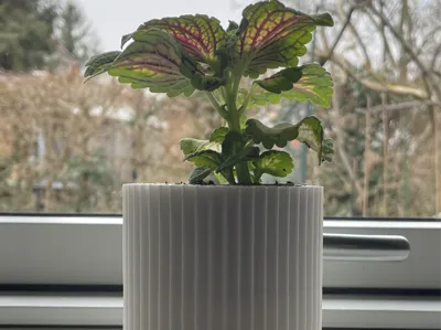 Textured Planter
