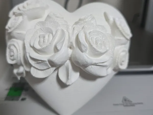 https://makerworld.bblmw.com/makerworld/model/US13e93d7b86600a/design/2025-01-23_d2a83c81136ad.jpg