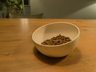 Ergonomic cat feeder