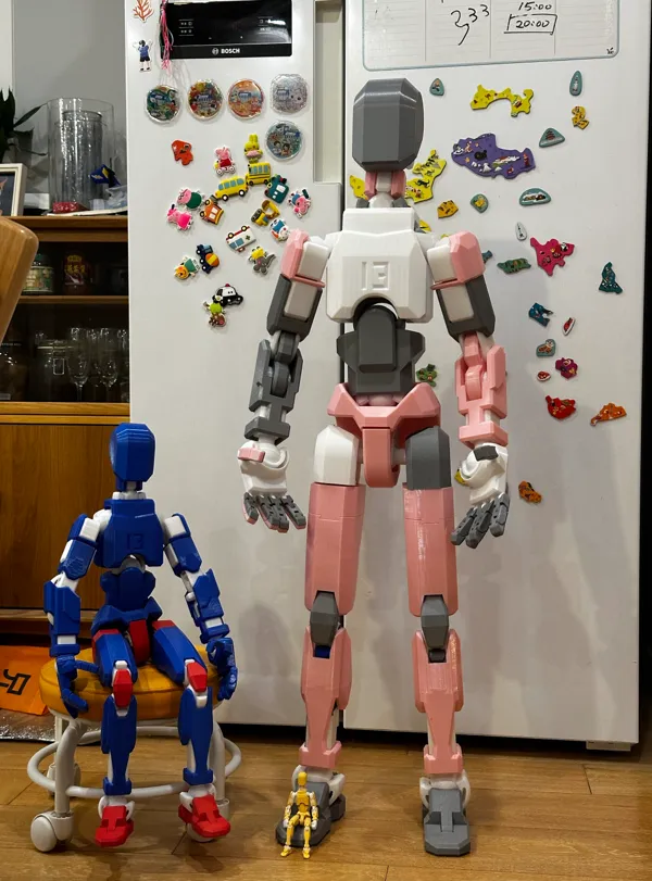 https://makerworld.bblmw.com/makerworld/model/US13ebcacfb34d7d/design/2024-08-08_eede326997597.jpg