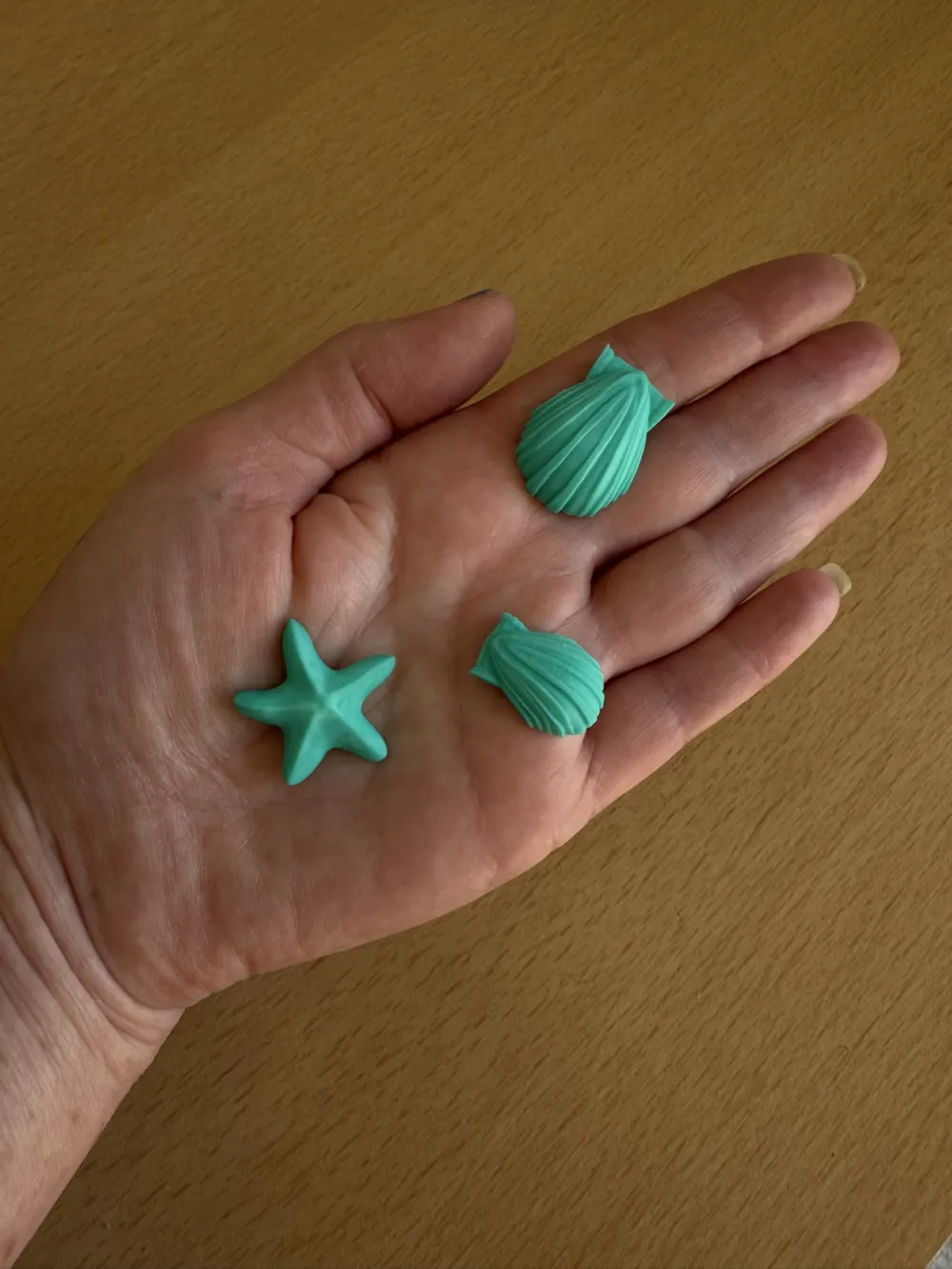 Shells - Free 3D Print Model - MakerWorld