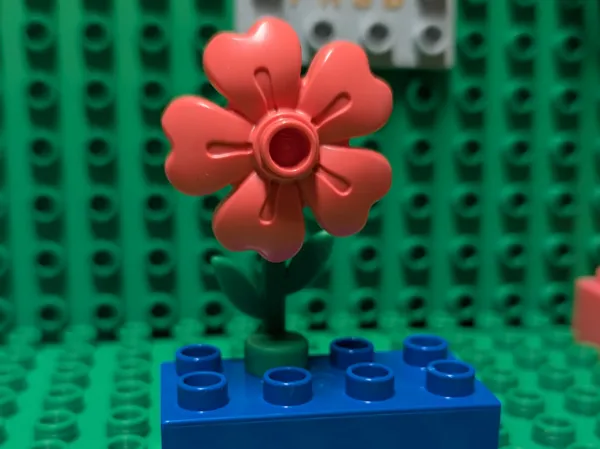https://makerworld.bblmw.com/makerworld/model/US13ee4b8bd4e6a2/design/2025-03-31_224d183302cdc.jpg
