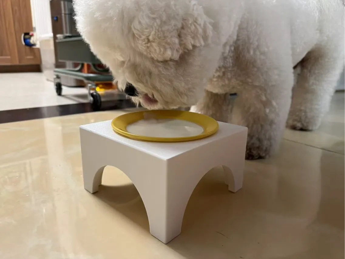 Köpek Kasesi Standı