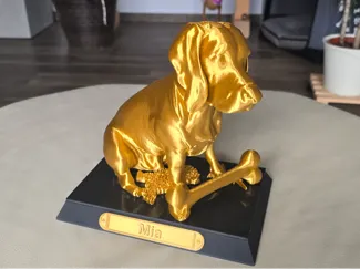 Beagle