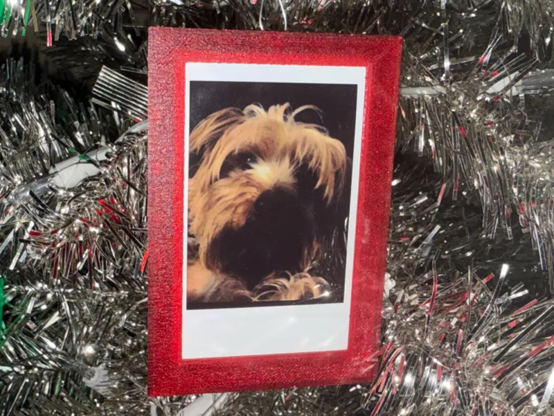 Instax Mini Frame and Ornament 