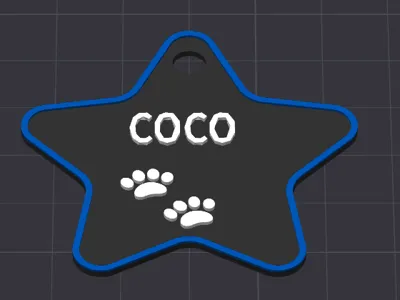Pet Collar Pendant