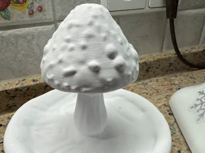 Mushroom Dish
