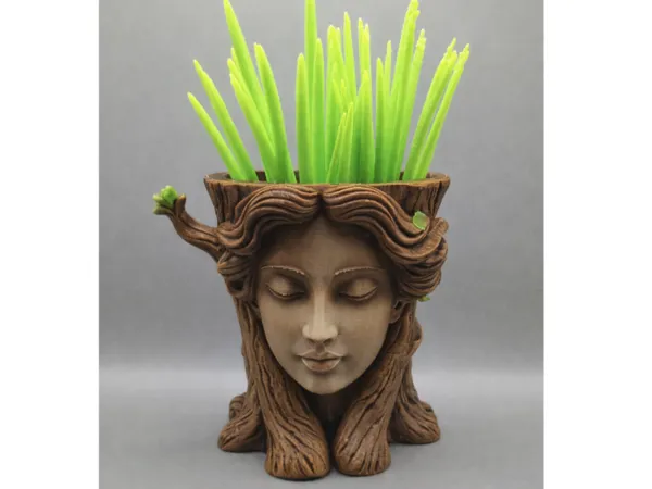 https://makerworld.bblmw.com/makerworld/model/US13fd808777cb8/design/2026-01-07_eac809b04bf8b8.png