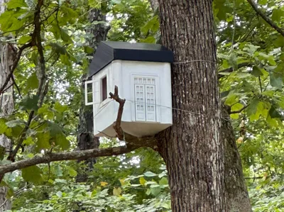 Birdhouse for Wireless camera and solar panel