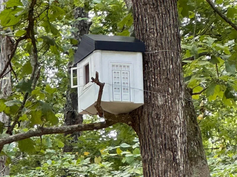 Birdhouse for Wireless camera and solar panel