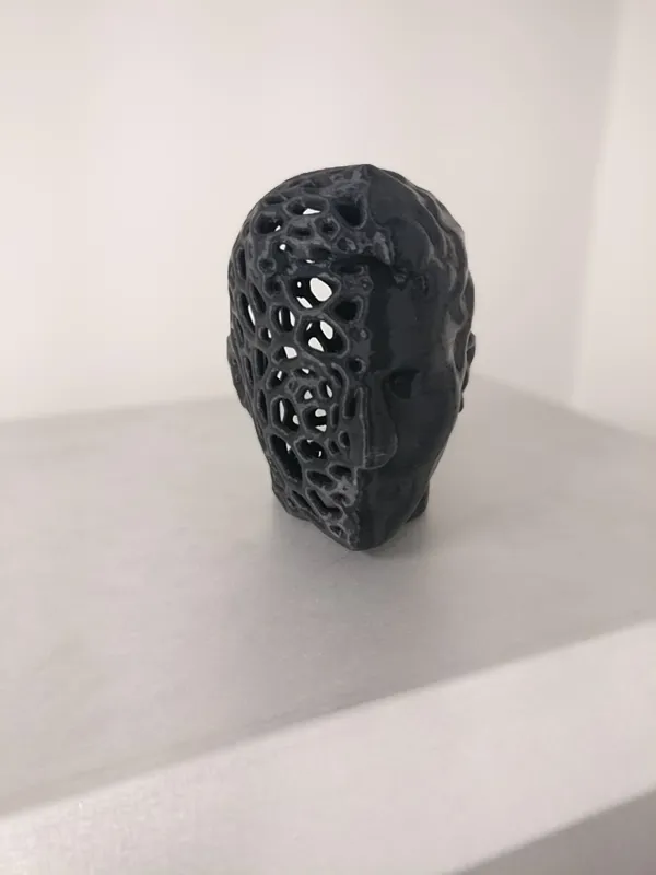 https://makerworld.bblmw.com/makerworld/model/US13fe46b6eacca2/design/2023-09-29_4176b0479e414.jpg