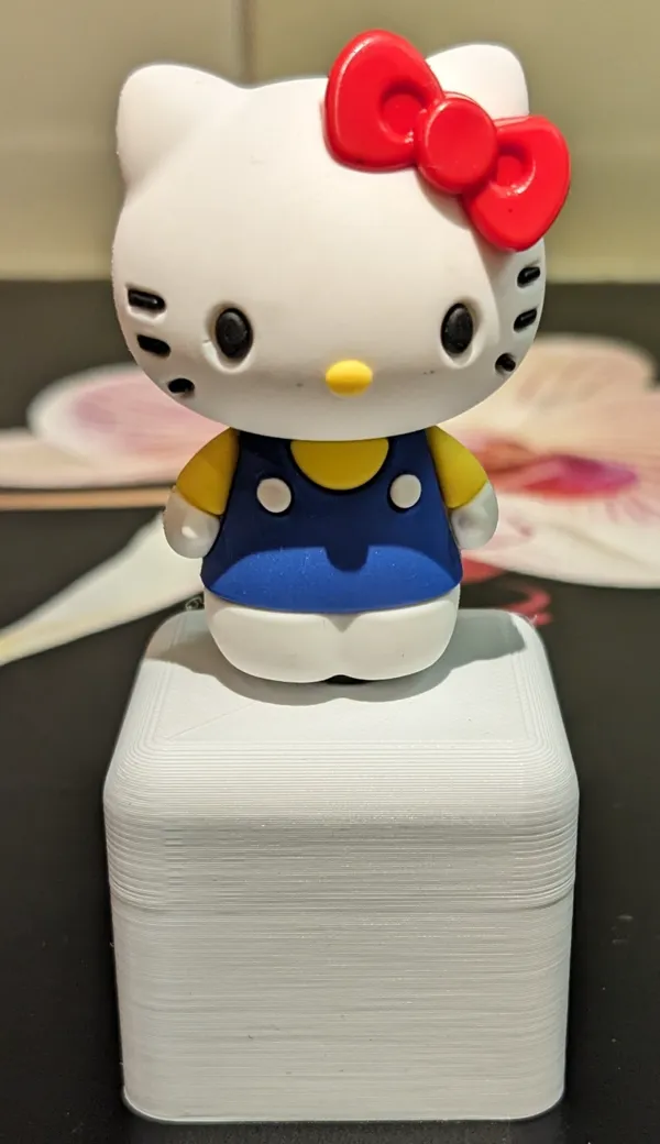 https://makerworld.bblmw.com/makerworld/model/US14048b5d46008/design/2024-02-26_3229c7fe01f2d.jpg
