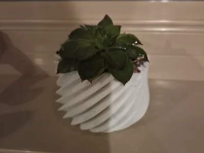 cute succulent vase 