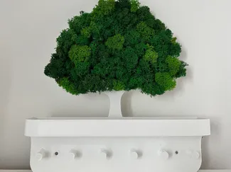 Moss tree key hanger/ key holder