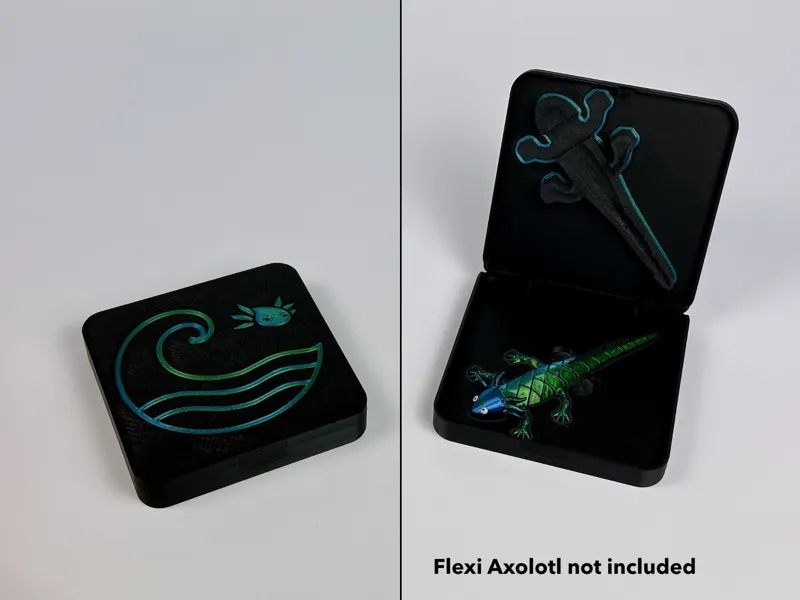 Flexi Axolotl Case
