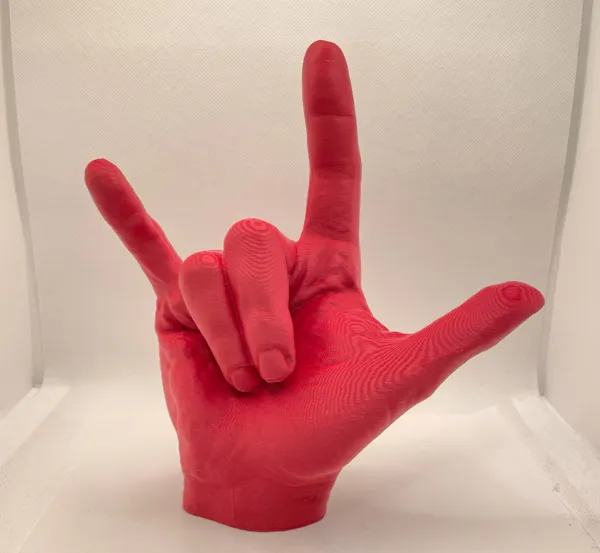 https://makerworld.bblmw.com/makerworld/model/US1417a86d8deaec/design/2024-12-18_55dcc919f02c7.jpg
