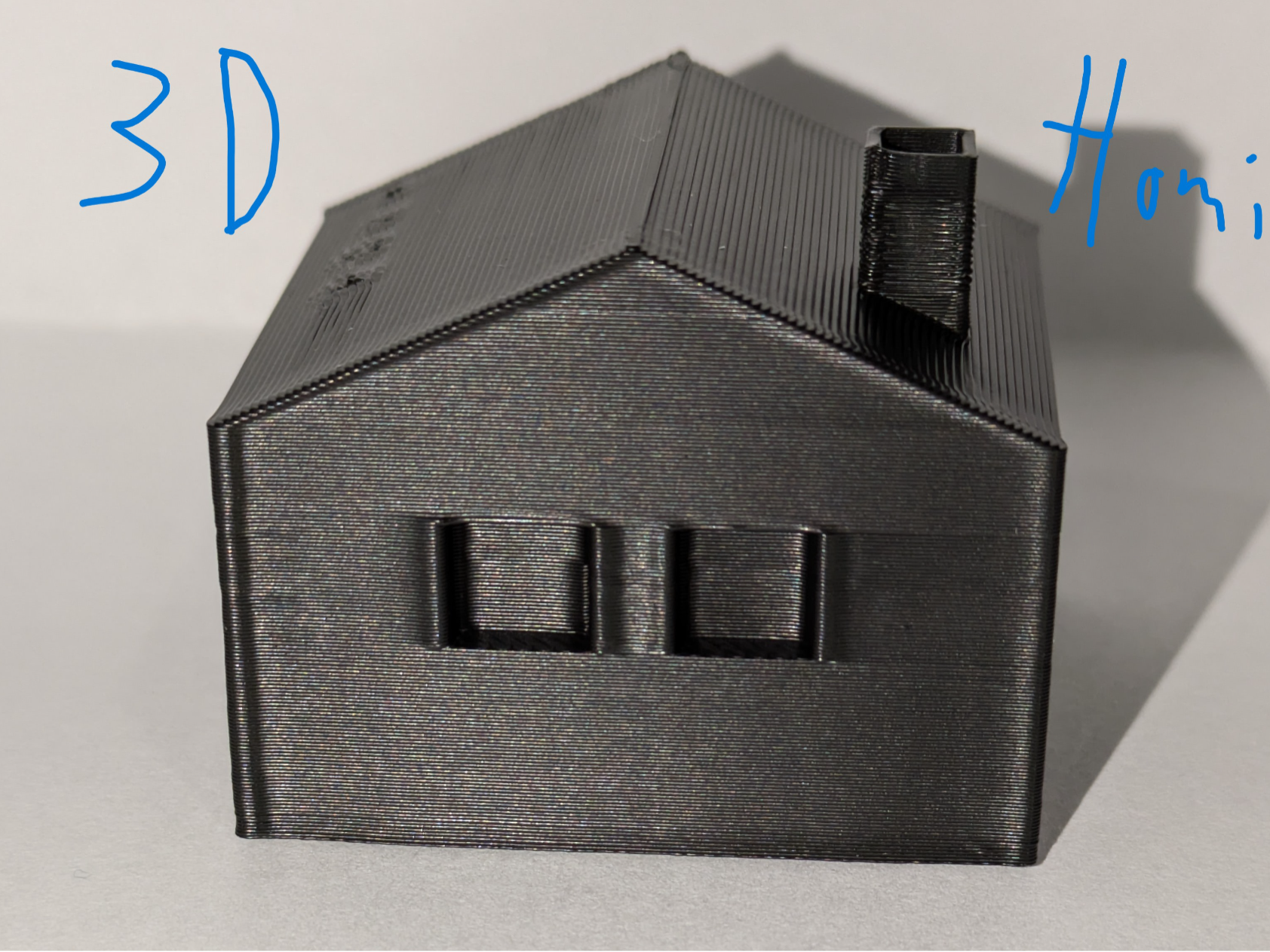 3D Homi