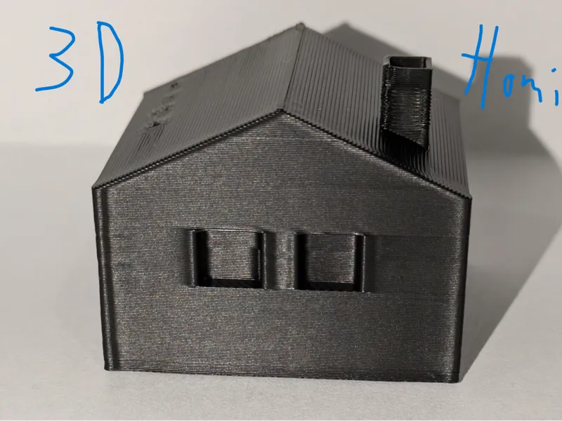 3D Homi
