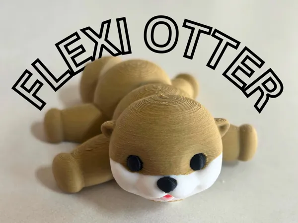 https://makerworld.bblmw.com/makerworld/model/US1419cd441d8232/design/2025-03-29_9cd0ac4811189.png