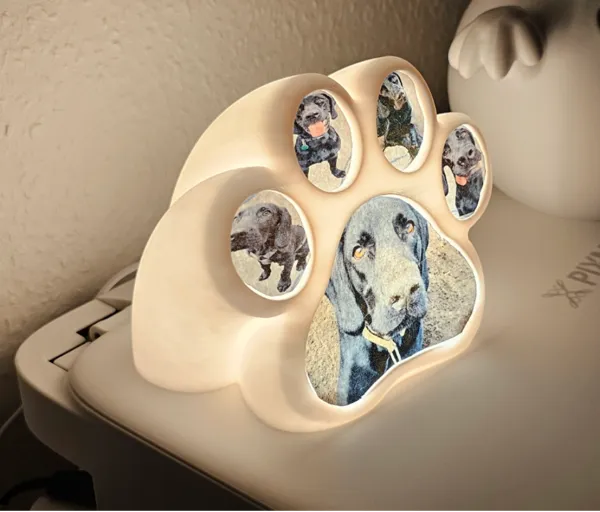 https://makerworld.bblmw.com/makerworld/model/US141c5aad78dda3/design/2024-11-16_9506c75248125.jpg