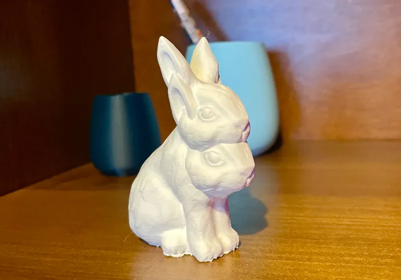 Double face Rabbit bunny