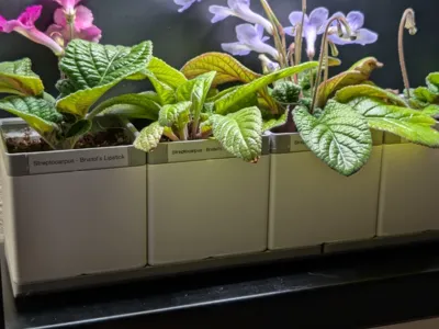 2x2 Gridfinity Cachepot Planter