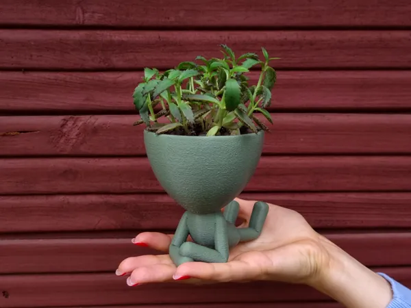 https://makerworld.bblmw.com/makerworld/model/US14278ff4c8f34/design/2024-05-09_8275dca2d6215.jpg