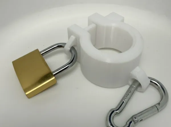https://makerworld.bblmw.com/makerworld/model/US142bd86ffe24b8/design/2025-12-02_07e120fedc9848.jpg