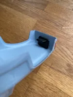 Coyote Body