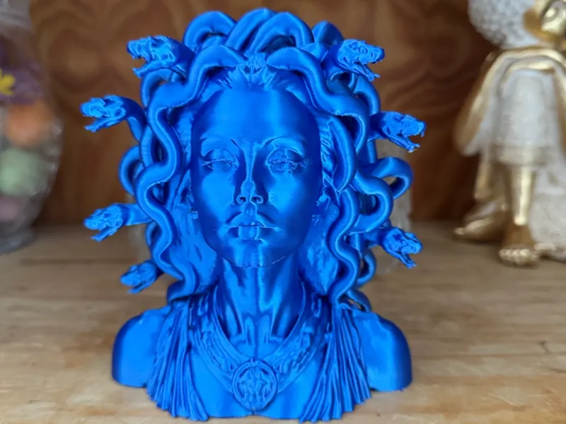 Medusa Bust