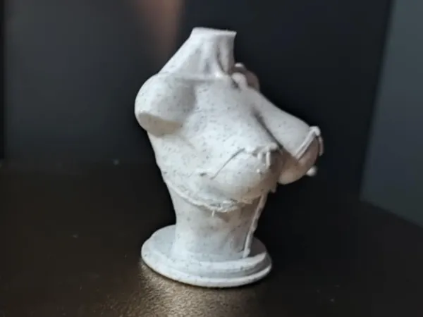 https://makerworld.bblmw.com/makerworld/model/US142ebed067de66/design/2025-06-16_b651266394b5a.jpg