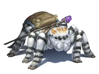 Scout Spider Itzy