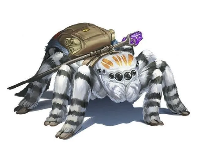 Scout Spider Itzy