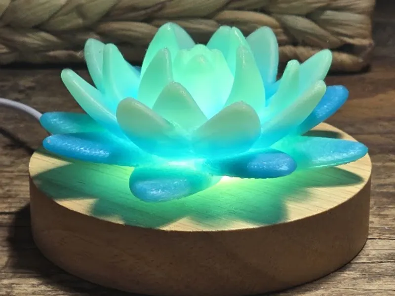 Chubby Lotus Lamp