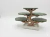 Bonsai Tree Coaster Set / Display Stand