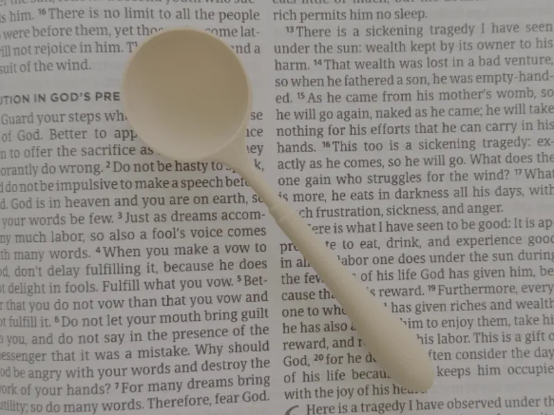 Vintage Café Sugar/Coffee Scoop Slim Handle Spoon