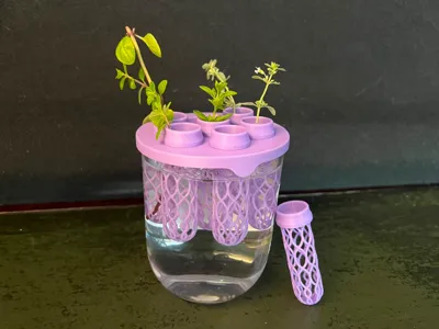 Modular Propagation Lid 70 mm