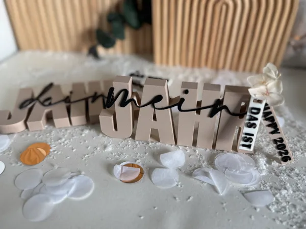 https://makerworld.bblmw.com/makerworld/model/US143ce5e7dd086d/design/2025-12-27_caede352234c18.jpg