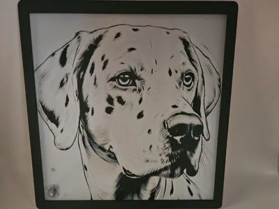 DALMATIAN