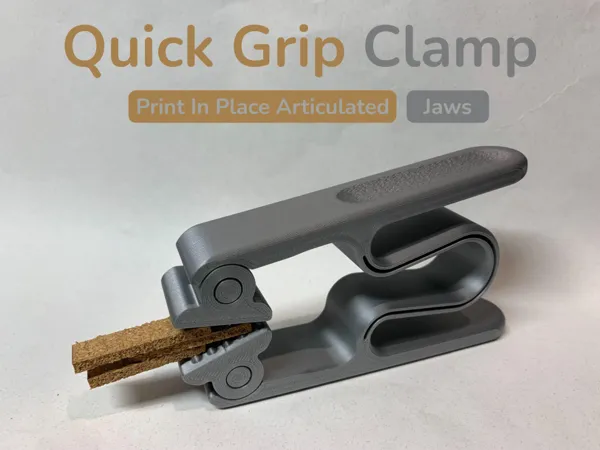 https://makerworld.bblmw.com/makerworld/model/US144201d2e72d92/design/298335bfe8498645.png