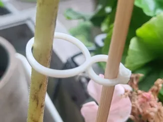 Plant Clips *REMIX*